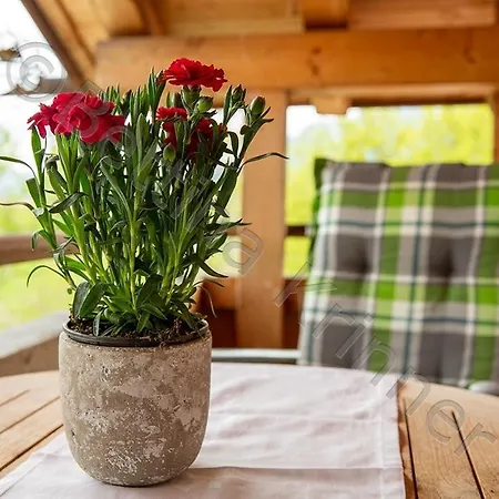 Apartment Am Arzbach *
