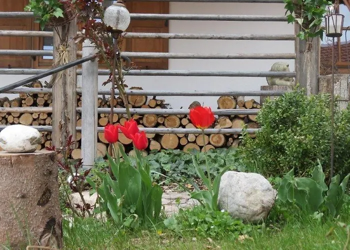 Am Arzbach * باد تولز