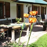 Am Arzbach באד טולץ