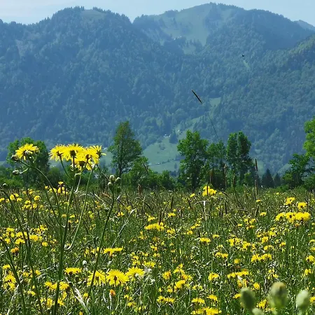 Am Arzbach Daire *